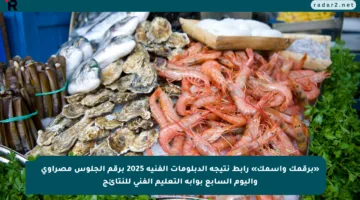 «برقمك واسمك» رابط نتيجة الدبلومات الفنية 2025 برقم الجلوس مصراوي واليوم السابع بوابة التعليم الفني للنتائج